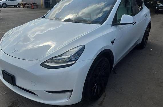 TESLA MODEL Y 2023 7SAYGDEE1PA126891 image